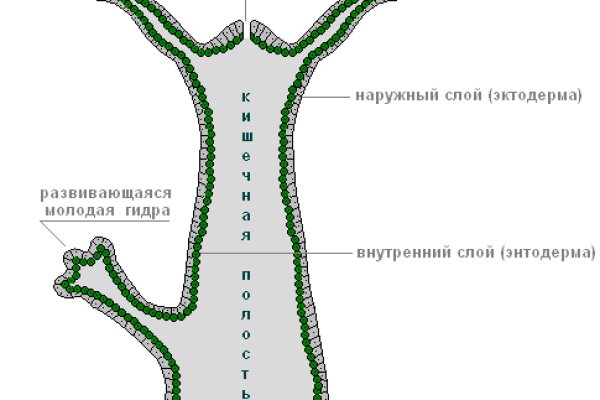 Как зайти на кракен с компа