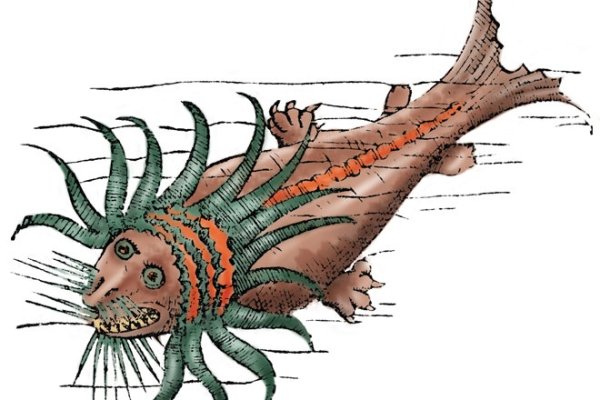 Зарегистрироваться на сайте кракен