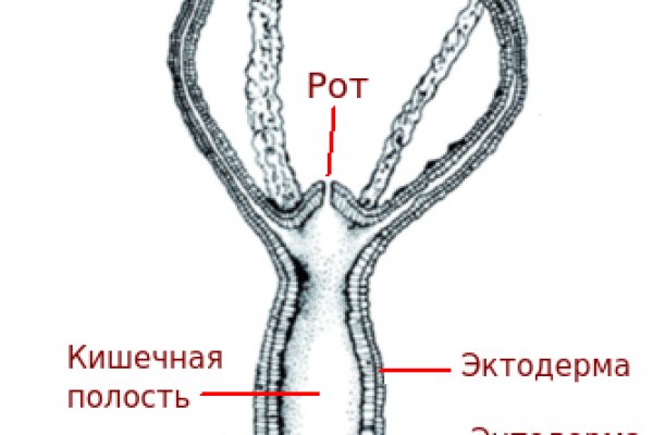 Кракен клир ссылка