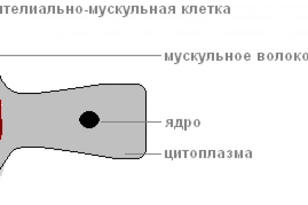 Кракен маркет darknet