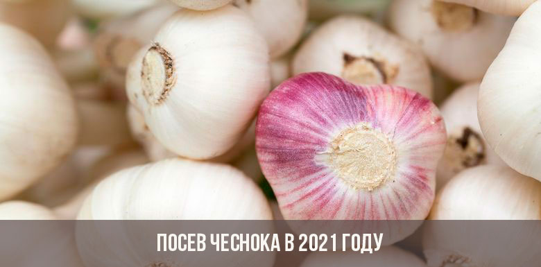 Кракен сбой